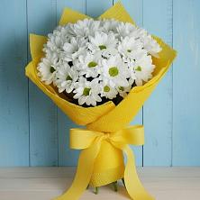 Букет цветов из:  Хризантемы в Семено-Александровке