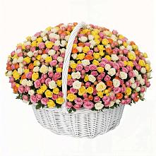 Премиум букет из: Розы в Семено-Александровке