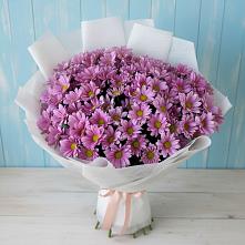 Букет цветов из:  Хризантемы в Семено-Александровке