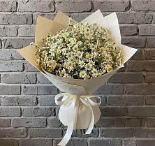 Букет цветов из:  Ромашки в Семено-Александровке