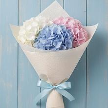 Букет цветов из:  Гортензия в Семено-Александровке