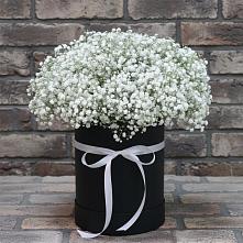 Цветочная композиция из Гипсофила в шляпной коробке в Семено-Александровке