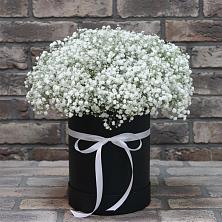 Цветочная композиция из Гипсофила в шляпной коробке в Семено-Александровке