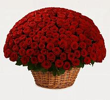 Премиум букет из: Розы в Семено-Александровке