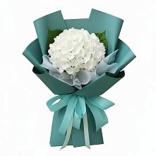 Букет цветов из:  Гортензия в Семено-Александровке